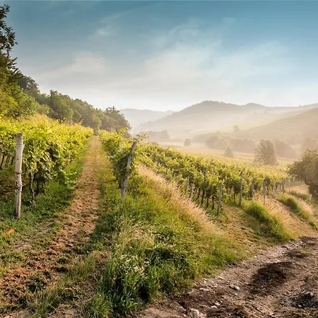 Гостевой дом Kabaj Wine & Dine 2*