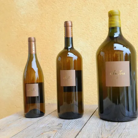 Kabaj Wine & Dine Гостевой дом Доброво