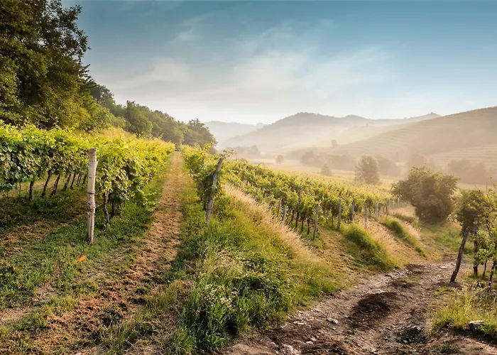 Гостевой дом Kabaj Wine & Dine 2*