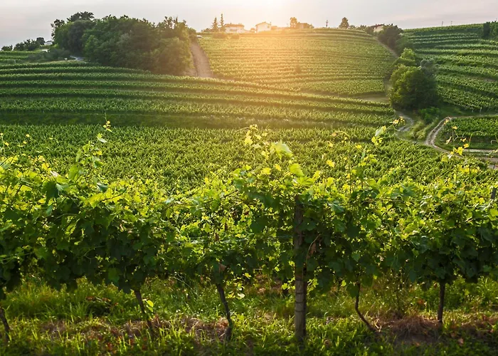 بيت ضيافة Kabaj Wine & Dine